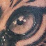 Tattoos - Tiger - 121785